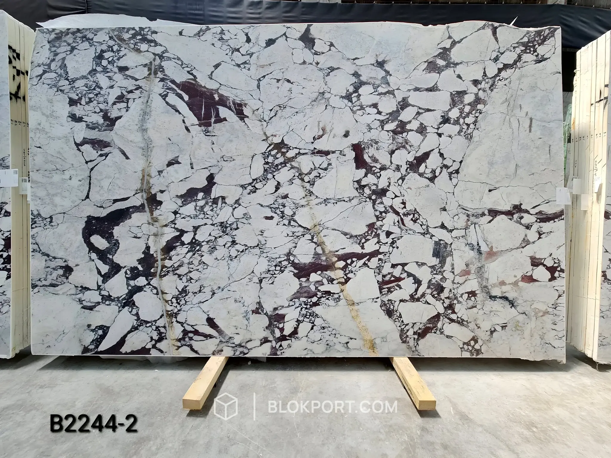 Calacatta Viola Levigato Marmo, foto 1 di 8